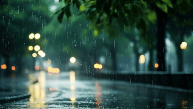 Wallpaper:1llguii1jva= Rain