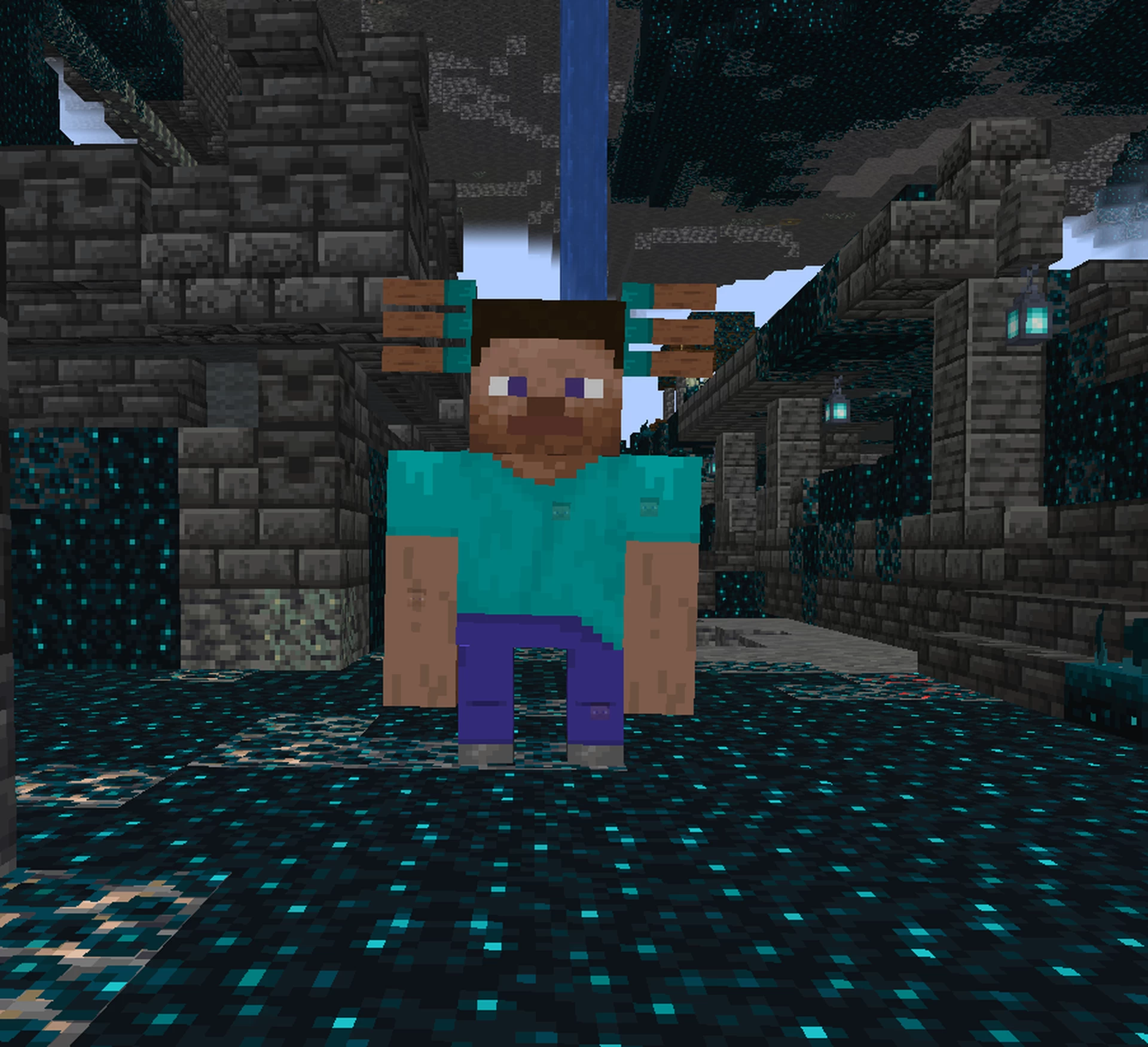 Steve:-Ap5paxxjoi= Minecraft