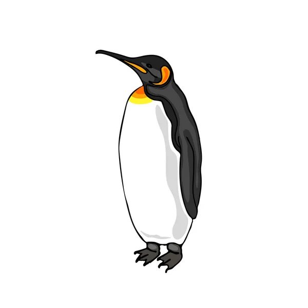 Clipart:Eq5wrhpcrpk= Penguin