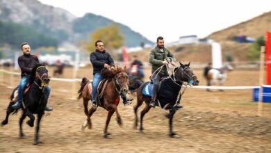 competitive landscape analysis overview